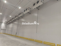 Вид строения. Морозильный склад (от -16 до -22) Склад PNK Парк Домодедово 2 Московская обл, Домодедово, деревня Кучино, стр 50, 118 500 м2 фото 5